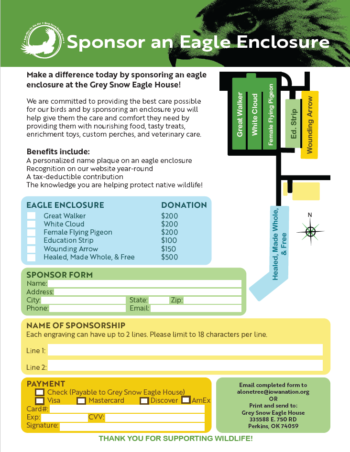 Sponsor an Eagle Enclosure - Image 2