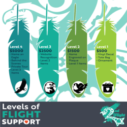 2nd Flight Initiative